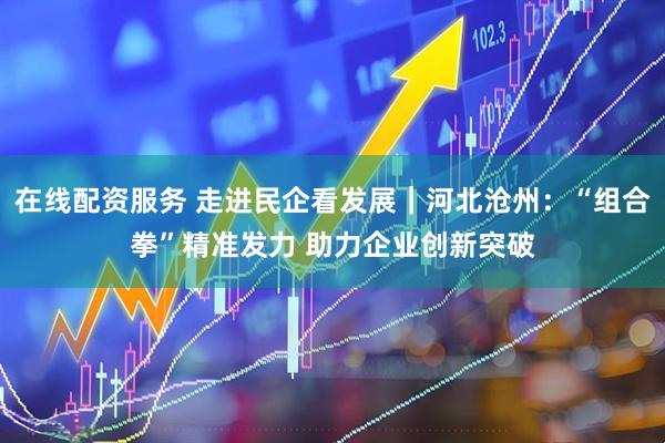 在线配资服务 走进民企看发展｜河北沧州：“组合拳”精准发力 助力企业创新突破