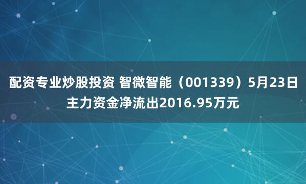 配资专业炒股投资 智微智能（001339）5月23日主力资金净流出2016.95万元
