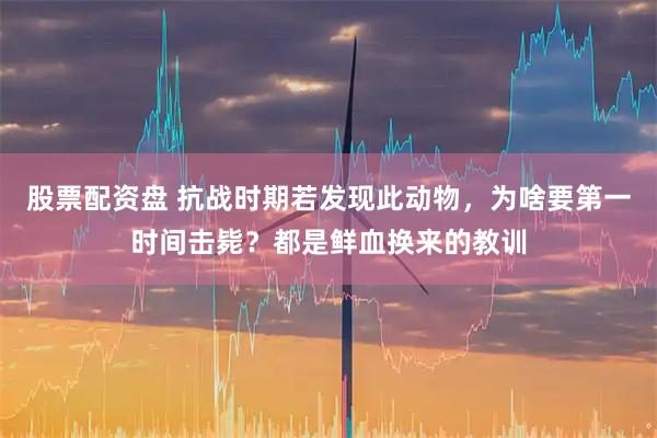股票配资盘 抗战时期若发现此动物，为啥要第一时间击毙？都是鲜血换来的教训