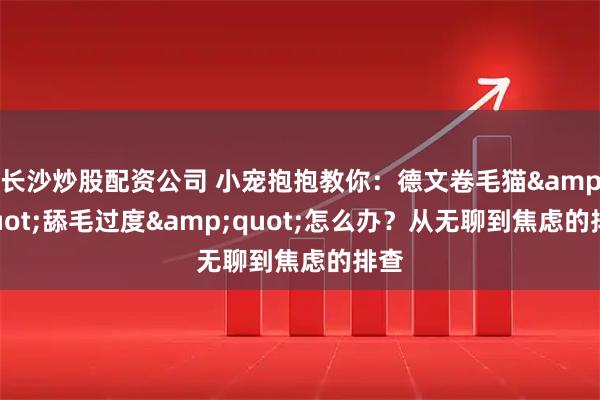 长沙炒股配资公司 小宠抱抱教你：德文卷毛猫"舔毛过度"怎么办？从无聊到焦虑的排查