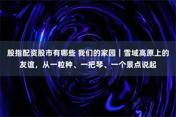股指配资股市有哪些 我们的家园｜雪域高原上的友谊，从一粒种、一把琴、一个景点说起